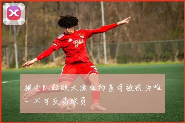 掘金队酝酿大换血约基奇被视为唯一不可交易球员