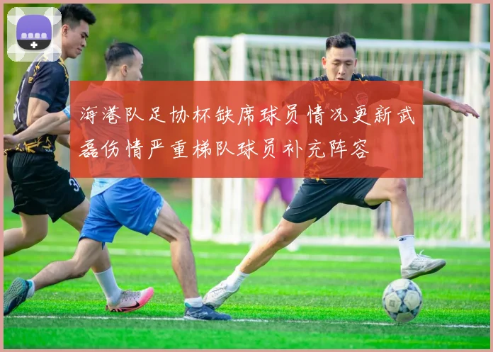 海港队足协杯缺席球员情况更新武磊伤情严重梯队球员补充阵容
