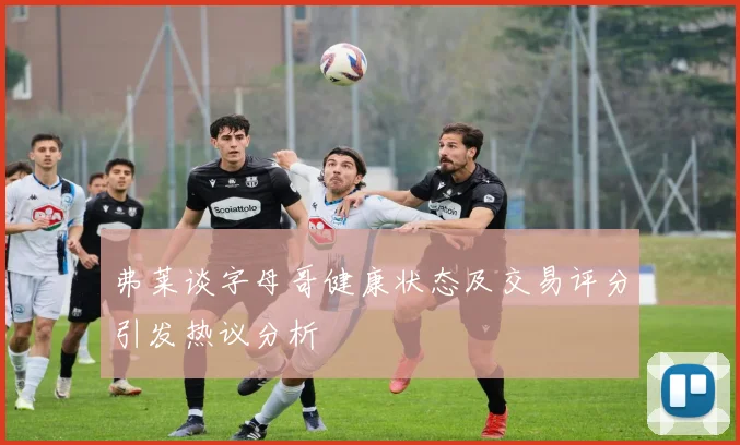 弗莱谈字母哥健康状态及交易评分引发热议分析